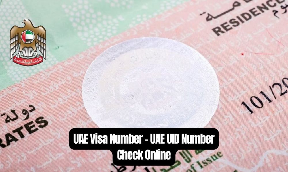 ICP Smart Service Visa Validity | Visa File Validity Check Online