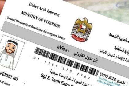 How to Download a Digital Copy of Your UAE Visa